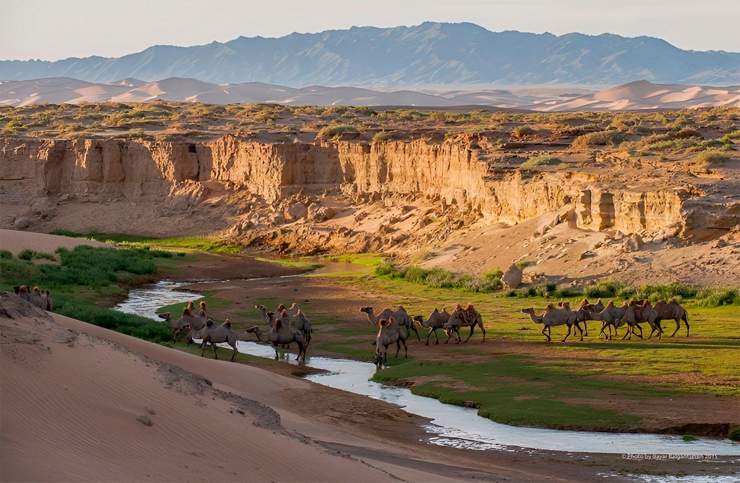 Everything But Ordinary - Mongolia at ITB Berlin